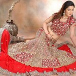 Bridal Lehenga Designs 2012 For Wedding 0010
