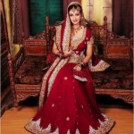 Bridal Lehenga Designs 2012 For Wedding 009