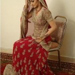 Pakistani Bridal Dresses 2012 0012