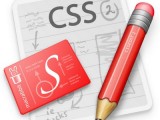 CSS Result 2012 001