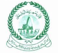 Bise Sahiwal board matric result 2013