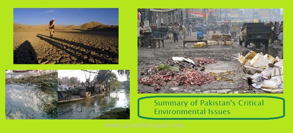 environmental issues in pakistan research papers