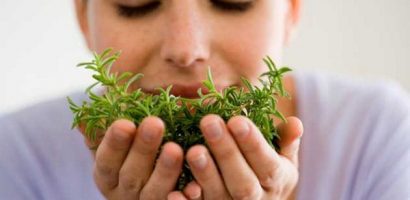 Uses Of Herbs In Hair Care
