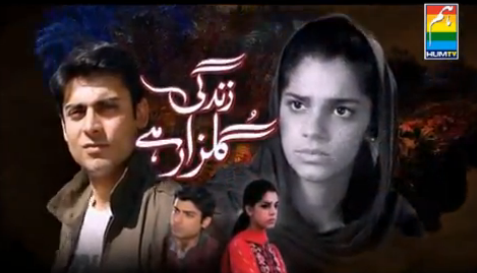 Zindagi Gulzar Hai drama Hum tv