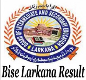 Bise Larkana board matric result 2024 10th class result