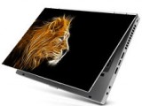 lion Laptop Skins design