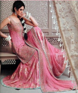 2014 Pakistani Bridal Dresses