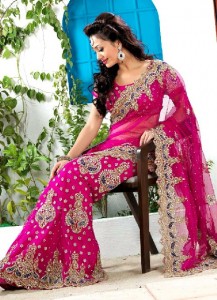 Latest Designs of Sarees for Women2014 