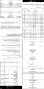 Education Department Jobs in Lahore 2015 Application Form Last Date Educators