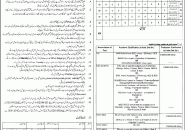 Educators Jobs in District Multan Rajanpur Bhakkar 2014-15 Application Form Download Last Date