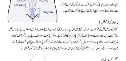First Time Signs of Early Pregnancy Symptoms in Urdu