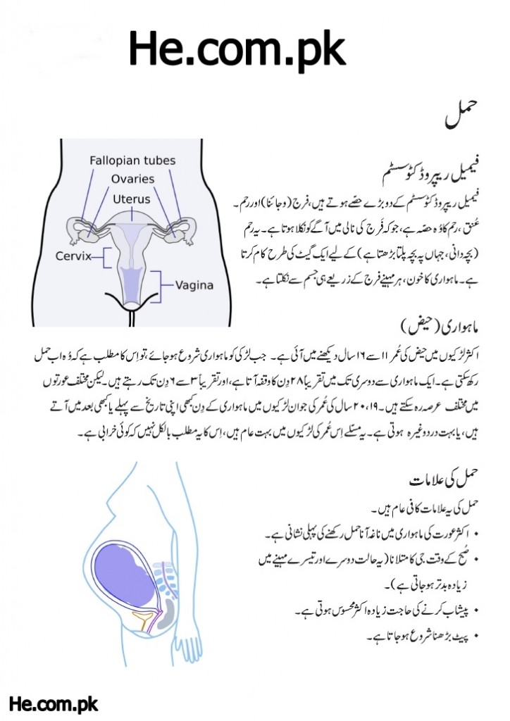 signs of pregnancy with pictures